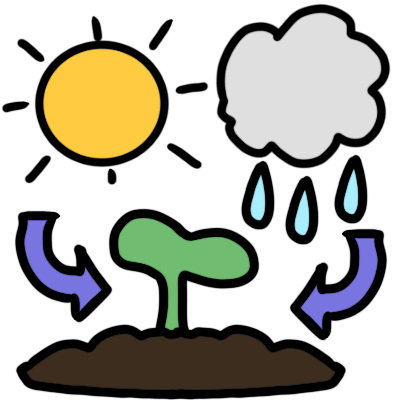 a shining sun and a raincloud both above a sprout in soil. blue arrows point from the sun and rain to the sprout.